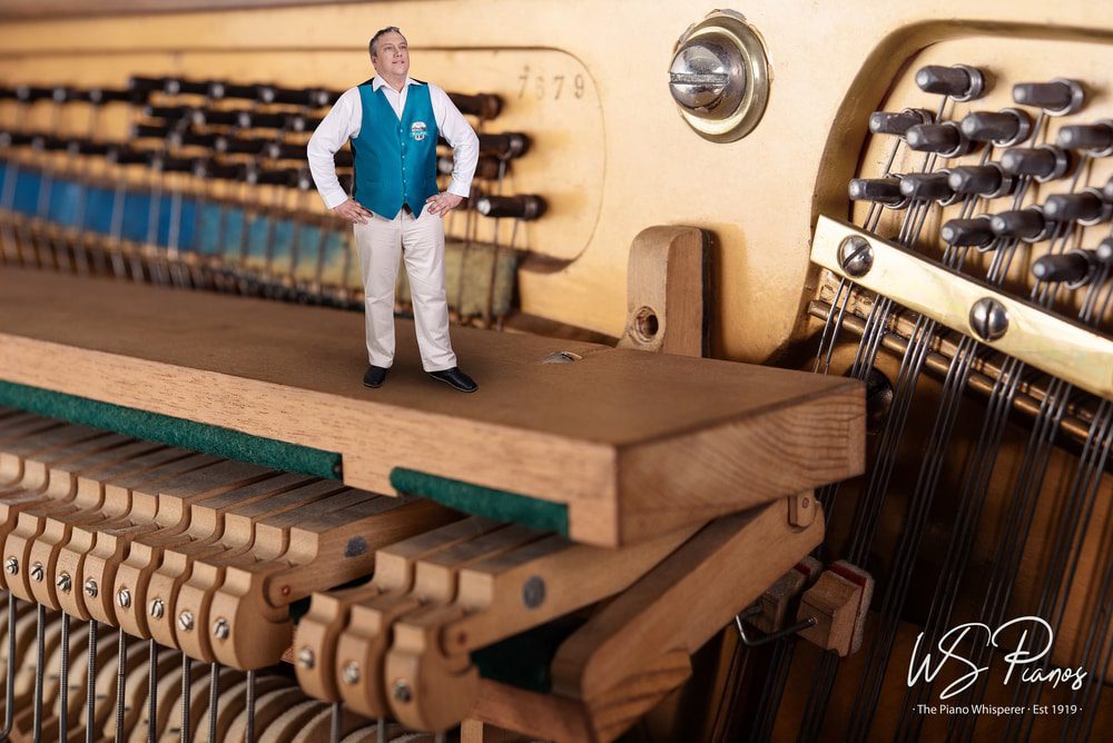 Buying a piano is an investment