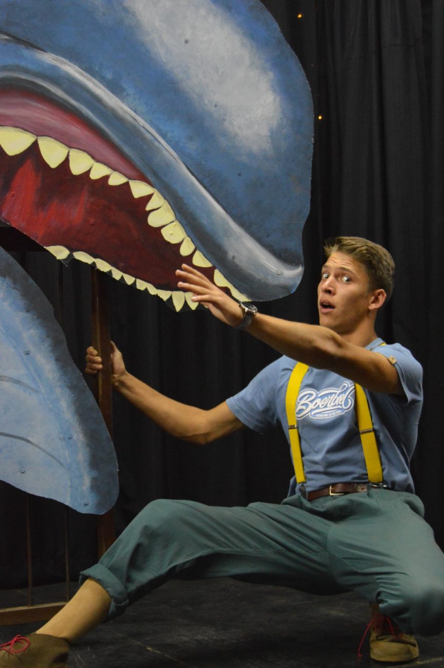 Pinocchio Theatre Comedy by Machiel Roets